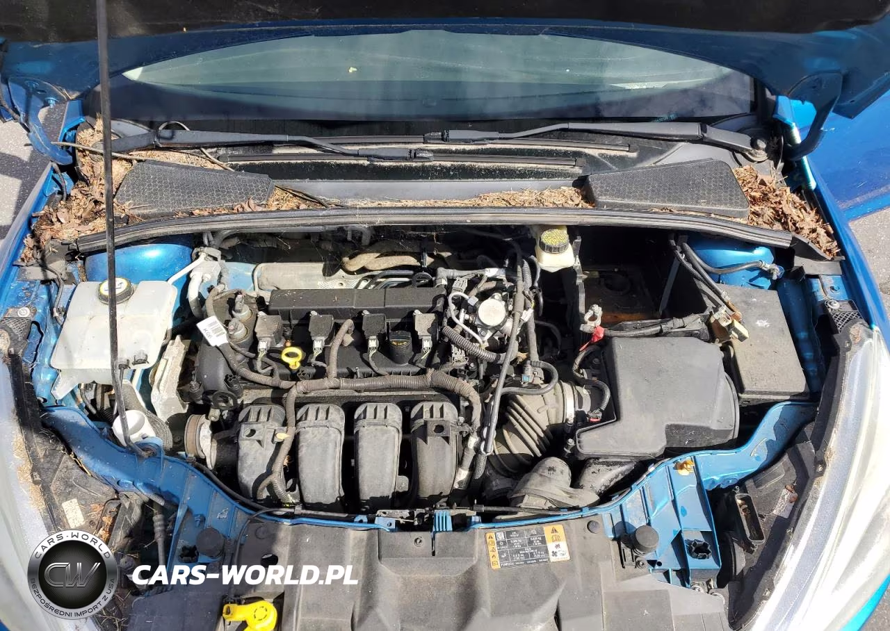2017 Ford Focus Se VIN:1FADP3F23HL201558 - 11