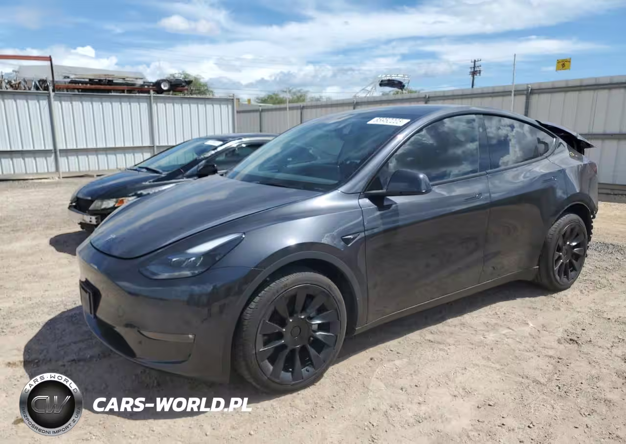 2024 Tesla Model Y