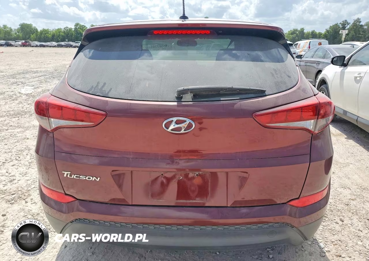 2017 Hyundai Tucson Se VIN:KM8J23A40HU393922 - 6