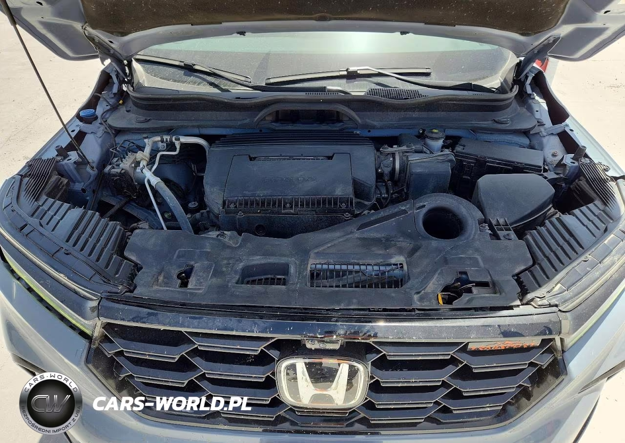 2024 Honda Pilot Trailsport VIN:5FNYG1H6XRB002673 - 11