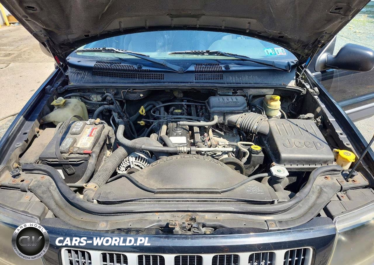 2004 Jeep Grand Cherokee Laredo VIN:1J4GW48S84C312866 - 11