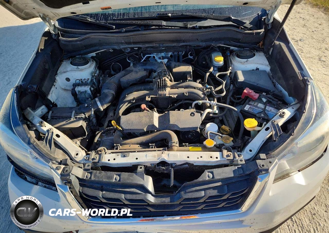 2018 Subaru Forester 2.5I Premium VIN:JF2SJAEC0JH509444 - 12