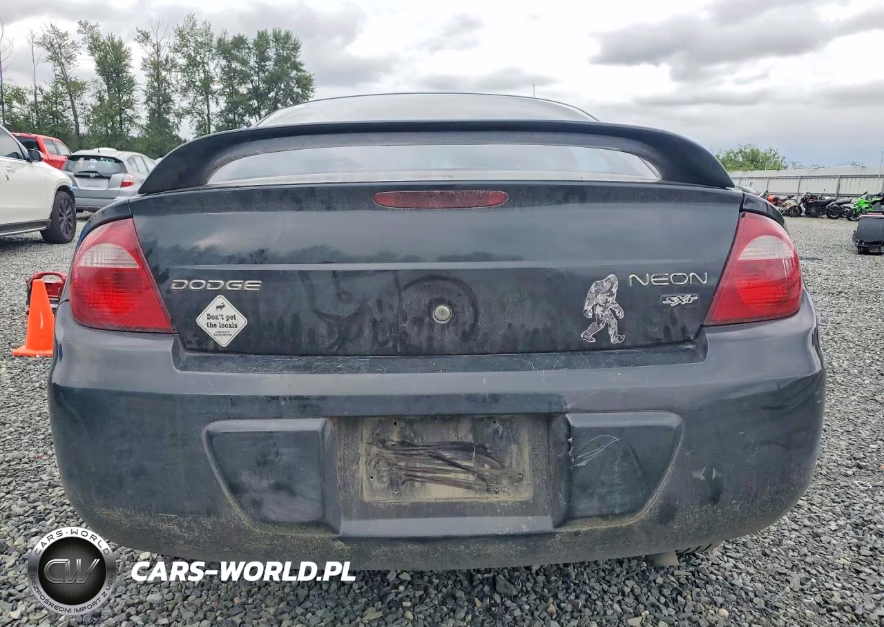 2005 Dodge Neon Sxt VIN:1B3ES56C75D115338 - 6