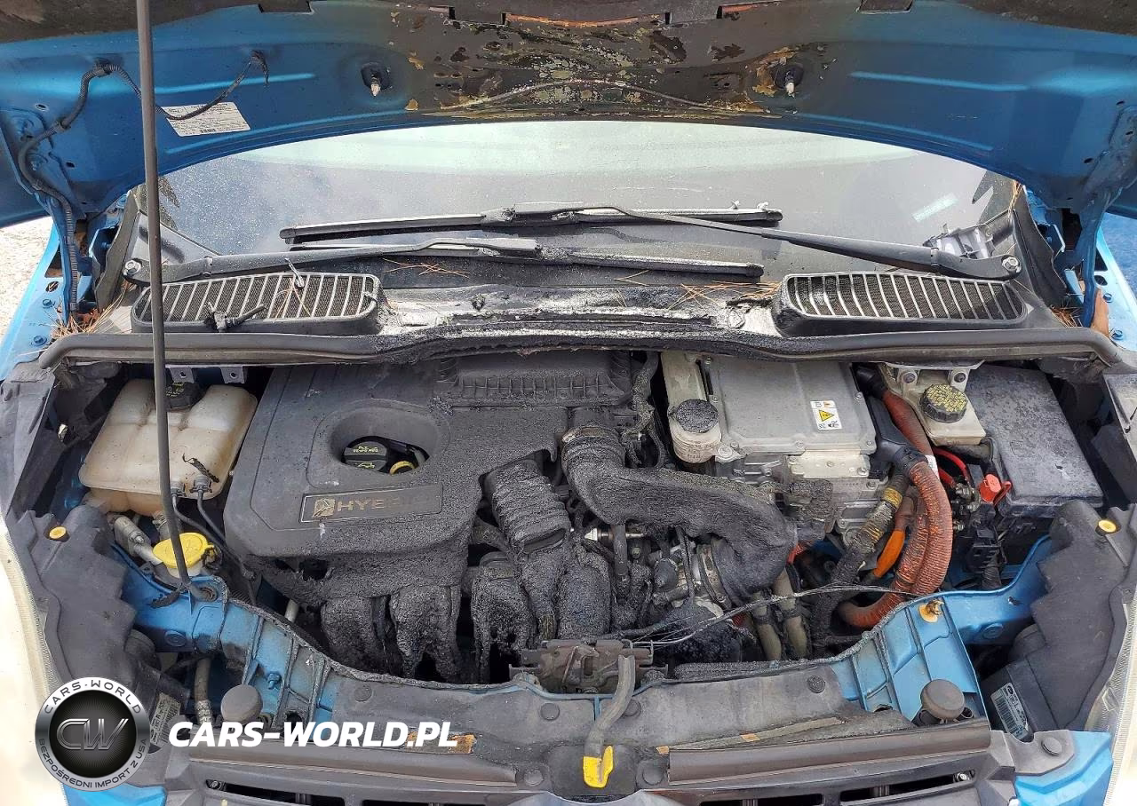 2013 Ford C-Max Sel VIN:1FADP5BU5DL501003 - 11