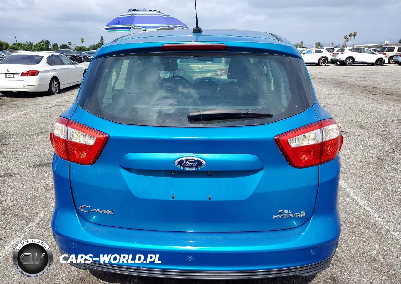 2013 Ford C-Max Sel VIN:1FADP5BU5DL501003 - 6