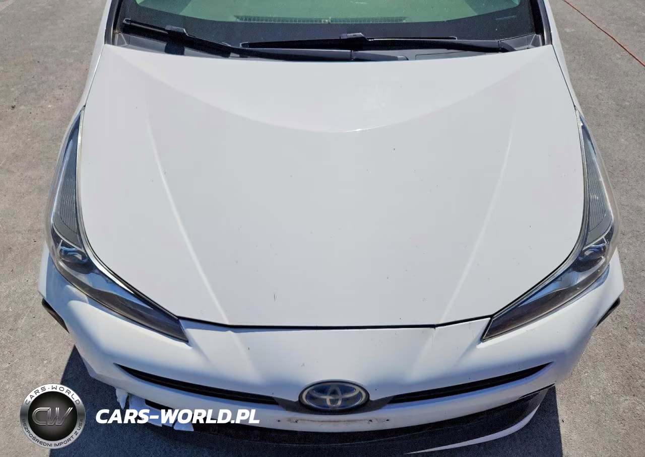 2019 Toyota Prius L Eco VIN:JTDKARFUXK3088755 - 11
