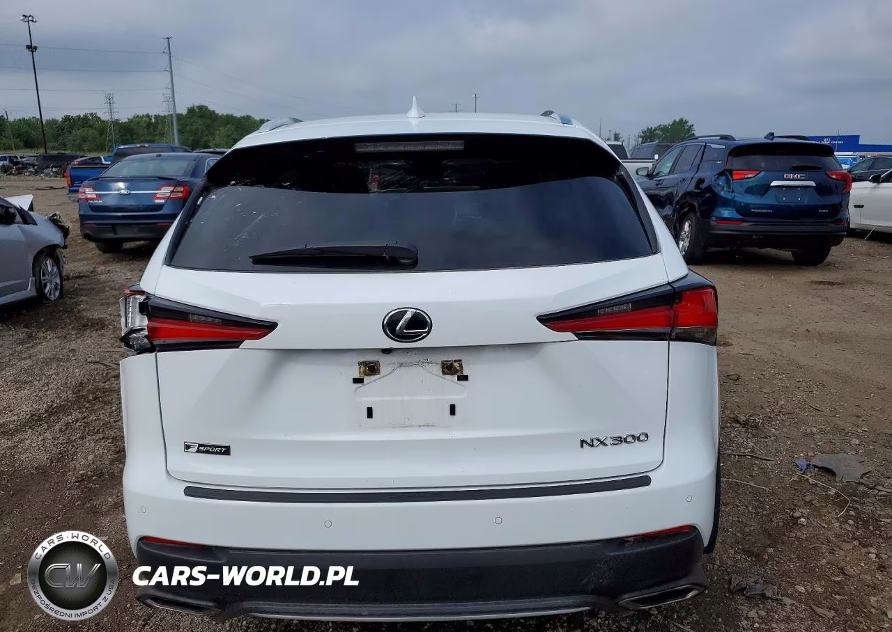 2021 Lexus Nx 300 F Sport VIN:JTJSARDZ9M5021034 - 6