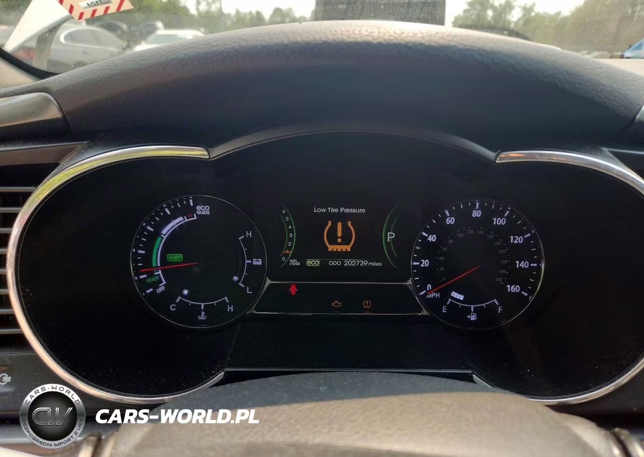 2012 Kia Optima Hybrid VIN:KNAGM4AD7C5018043 - 9