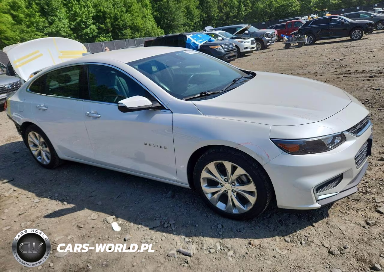 2017 Chevrolet Malibu Premier VIN:1G1ZH5SX2HF249425 - 4