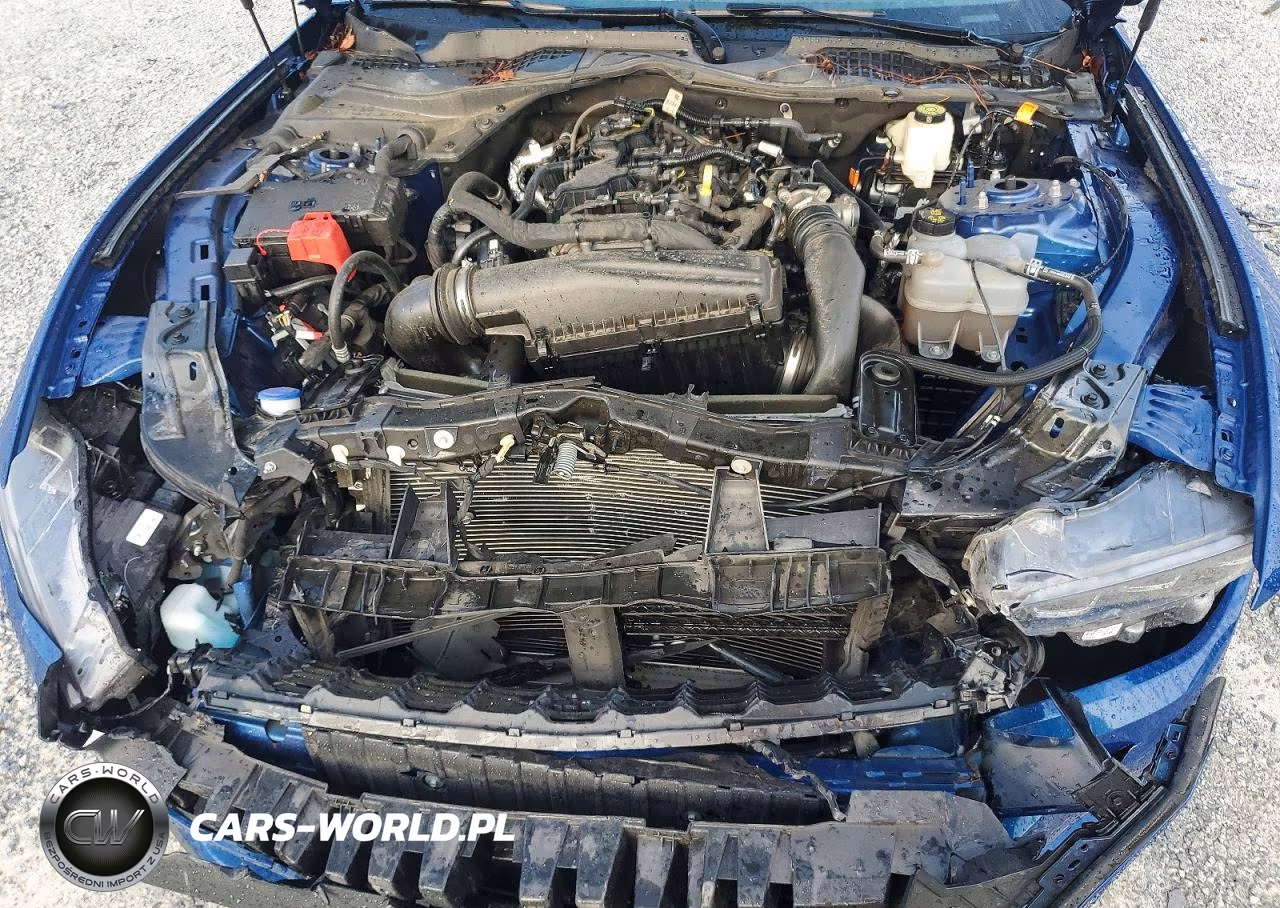 2024 Ford Mustang VIN:1FA6P8TH5R5138418 - 11