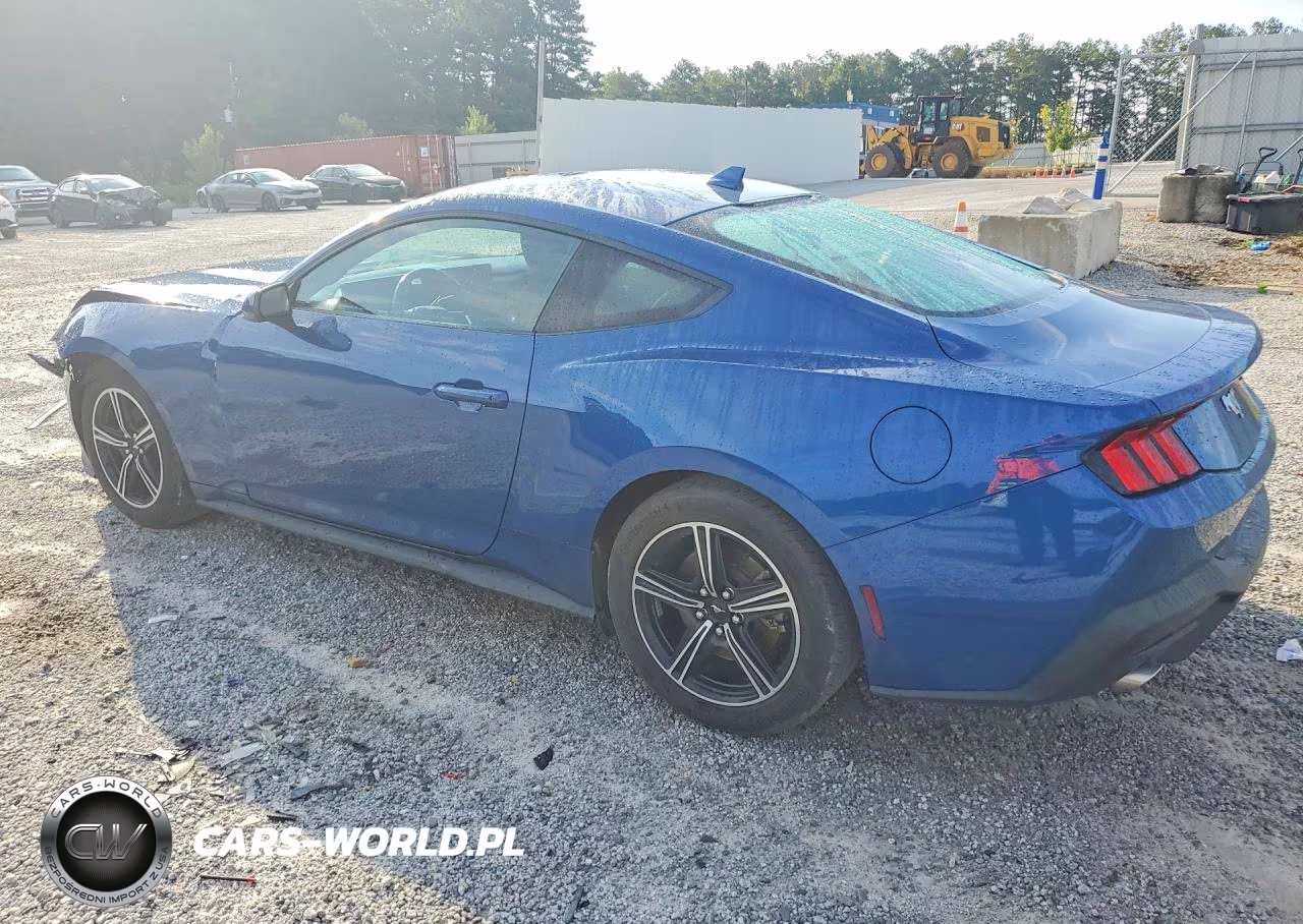 2024 Ford Mustang VIN:1FA6P8TH5R5138418 - 2