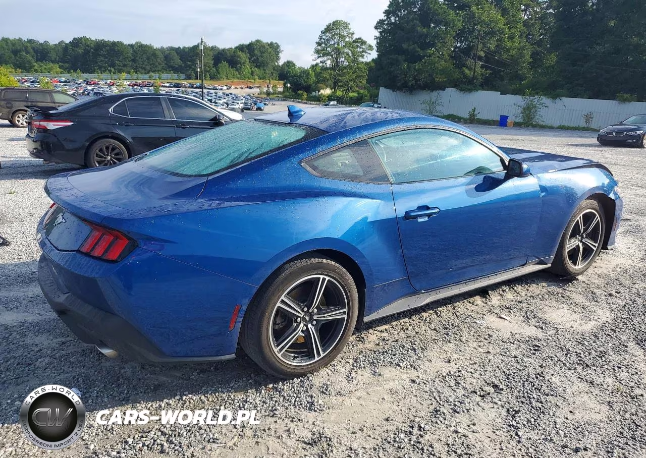 2024 Ford Mustang VIN:1FA6P8TH5R5138418 - 3