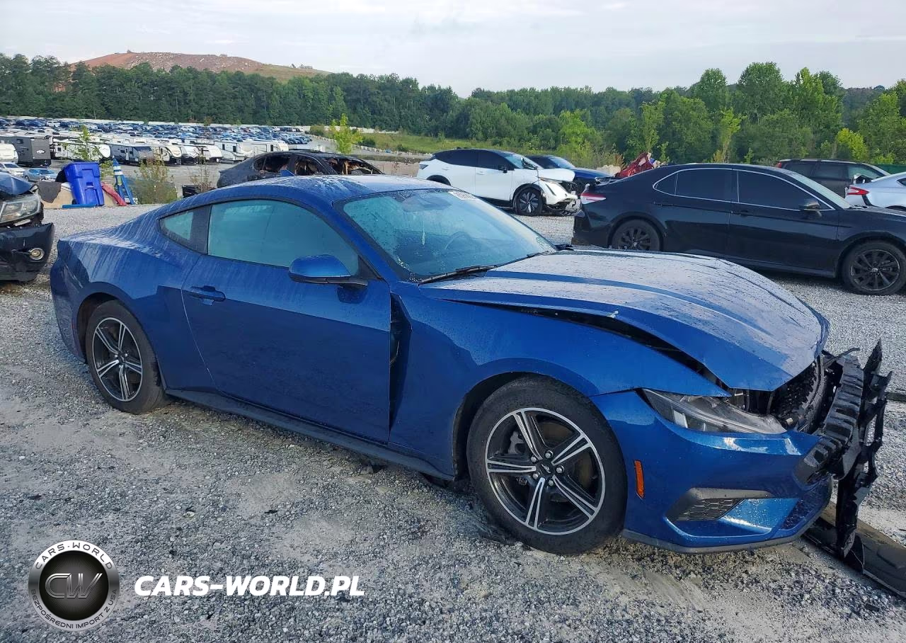 2024 Ford Mustang VIN:1FA6P8TH5R5138418 - 4