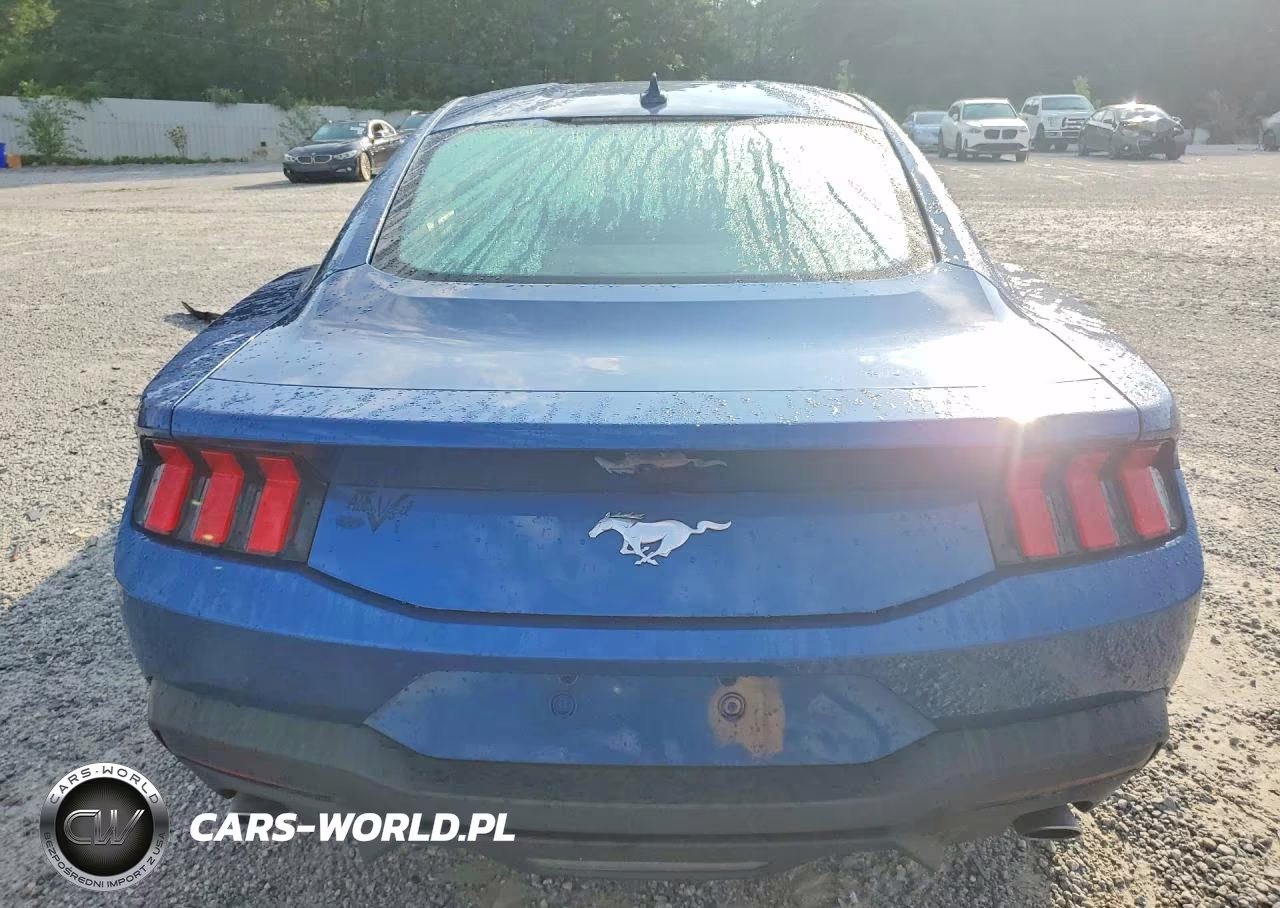 2024 Ford Mustang VIN:1FA6P8TH5R5138418 - 6