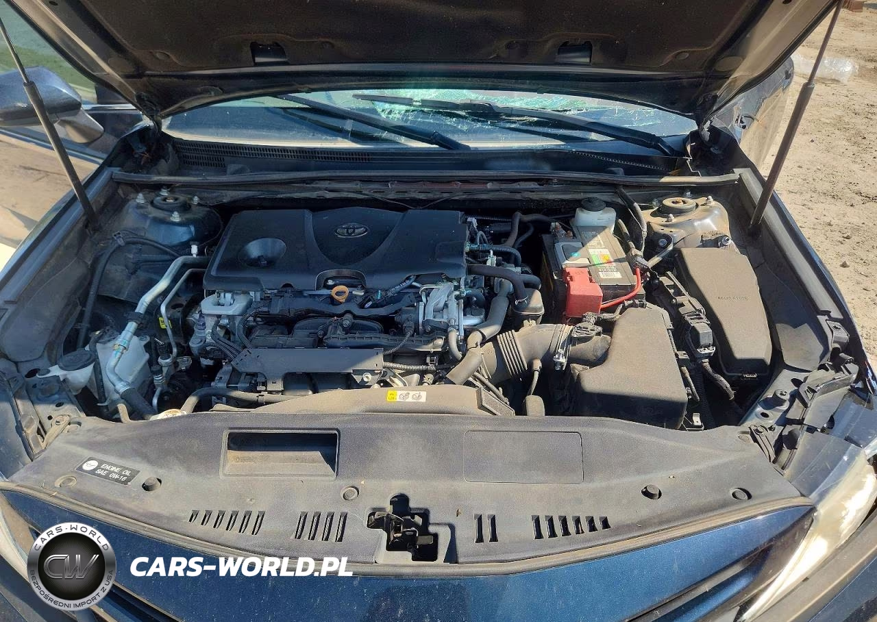 2019 Toyota Camry Se VIN:4T1B11HK1KU265132 - 12