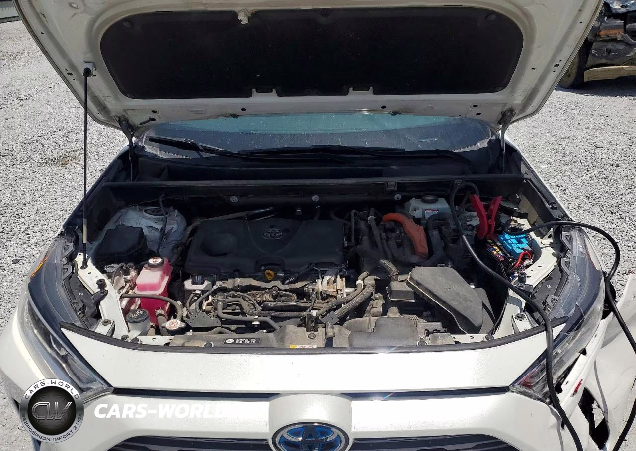 2019 Toyota Rav4 Xse VIN:JTMEWRFV8KJ006945 - 12