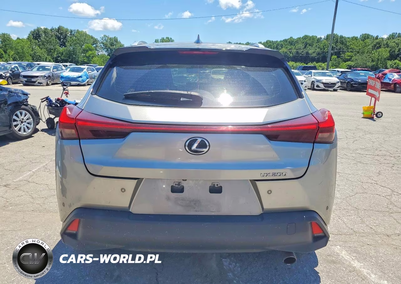 2019 Lexus Ux 200 VIN:JTHY3JBH8K2015547 - 6
