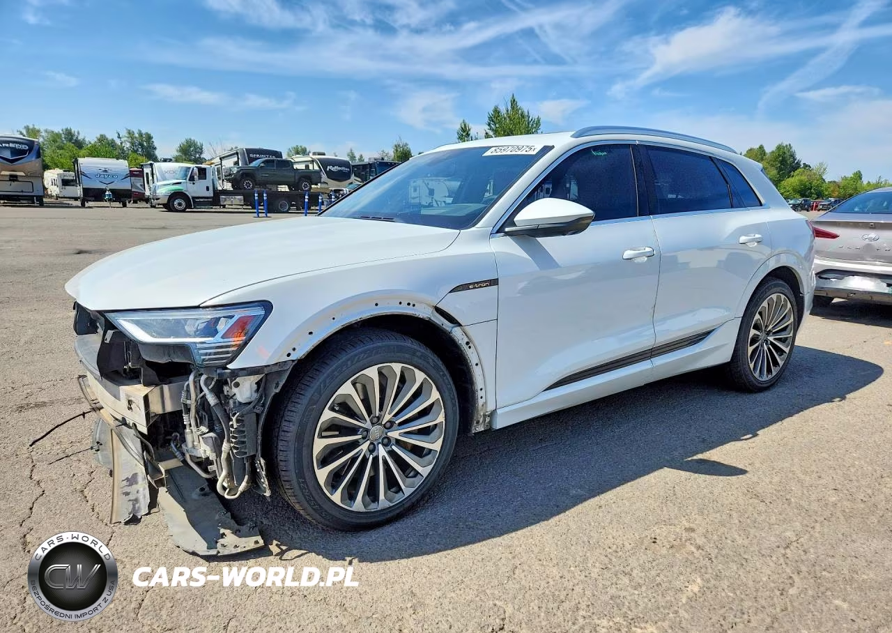 2019 Audi E-Tron Prestige – zdjęcie 1 z 13