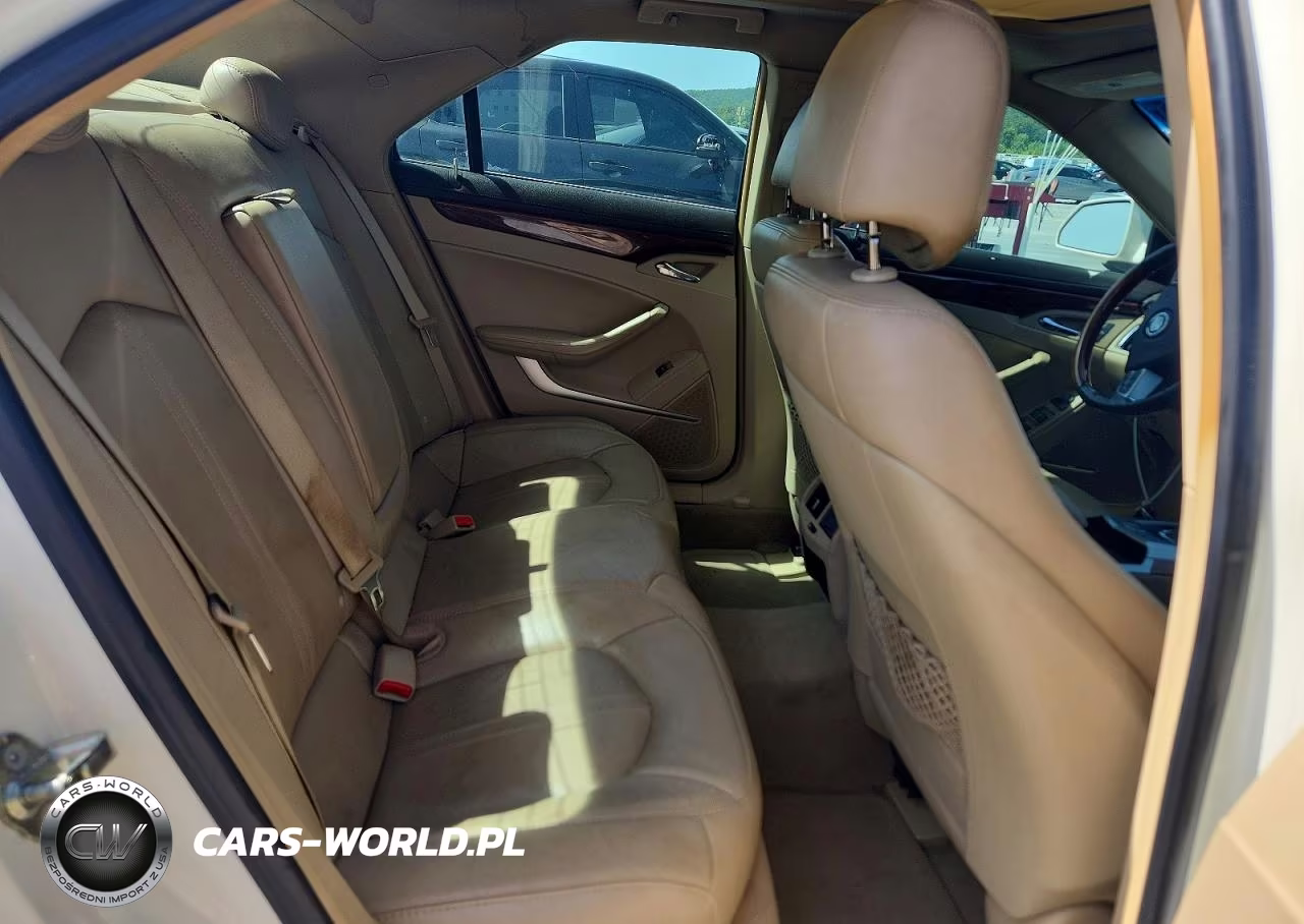 2010 Cadillac Cts Luxury Collection VIN:1G6DH5EG1A0111626 - 10
