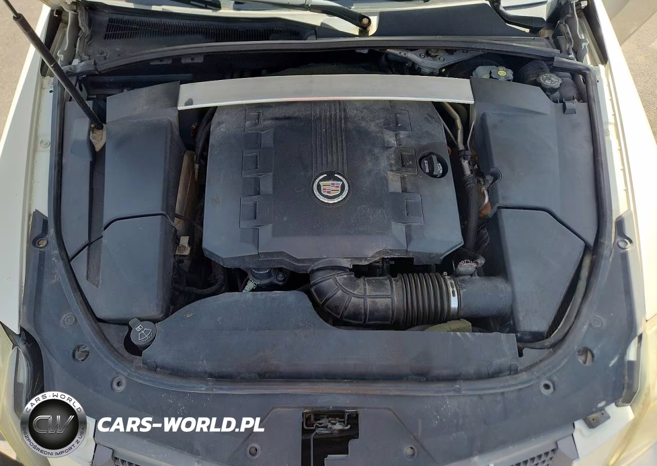 2010 Cadillac Cts Luxury Collection VIN:1G6DH5EG1A0111626 - 11