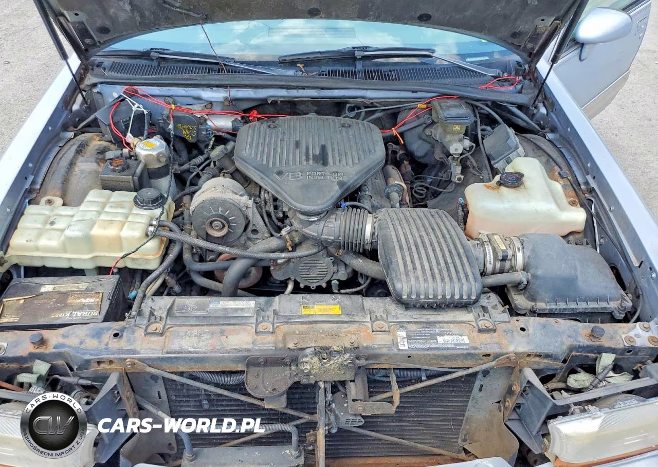 1994 Buick Roadmaster VIN:1G4BN52P0RR431007 - 11
