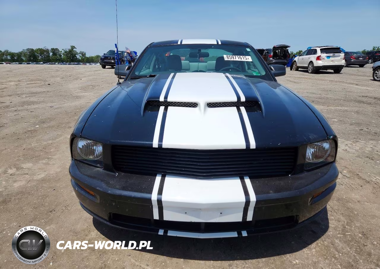 2008 Ford Mustang VIN:1ZVHT80N185119787 - 5