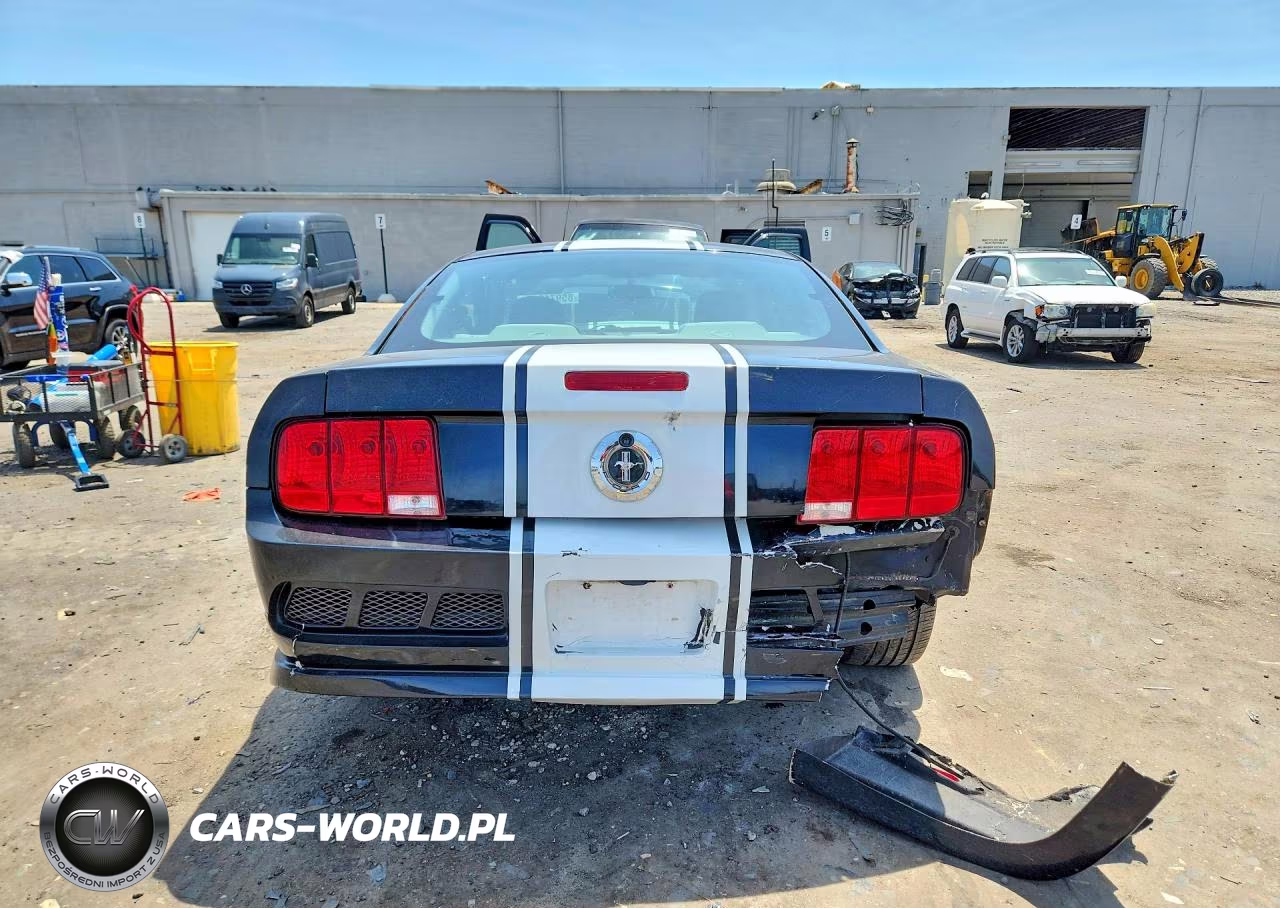 2008 Ford Mustang VIN:1ZVHT80N185119787 - 6
