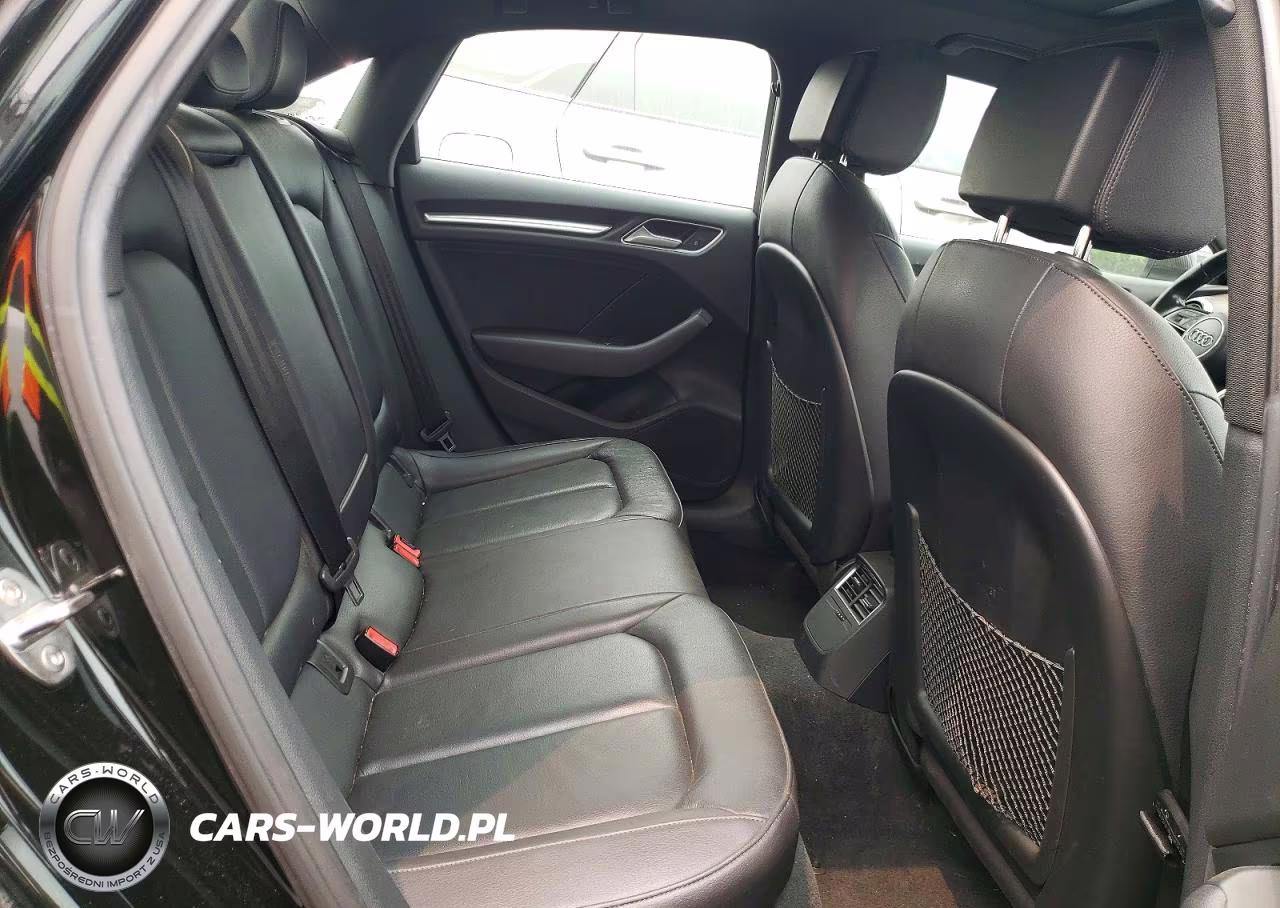 2017 Audi A3 Premium Plus VIN:WAUJ8GFF3H1075165 - 10