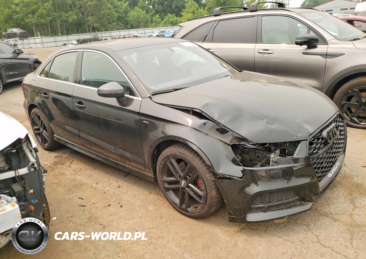 2017 Audi A3 Premium Plus VIN:WAUJ8GFF3H1075165 - 4