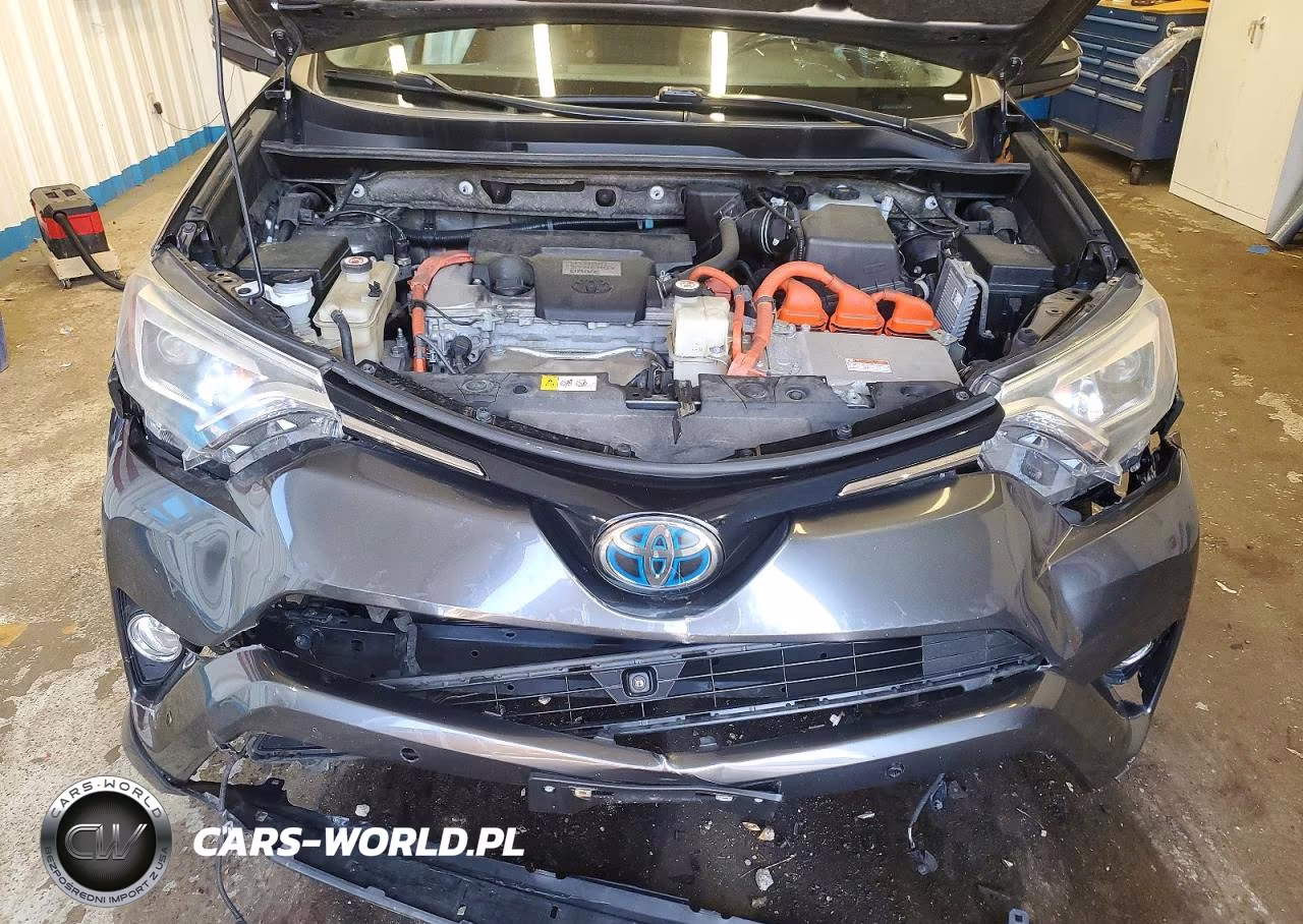 2017 Toyota Rav4 Hv Limited VIN:JTMDJREV9HD117751 - 12