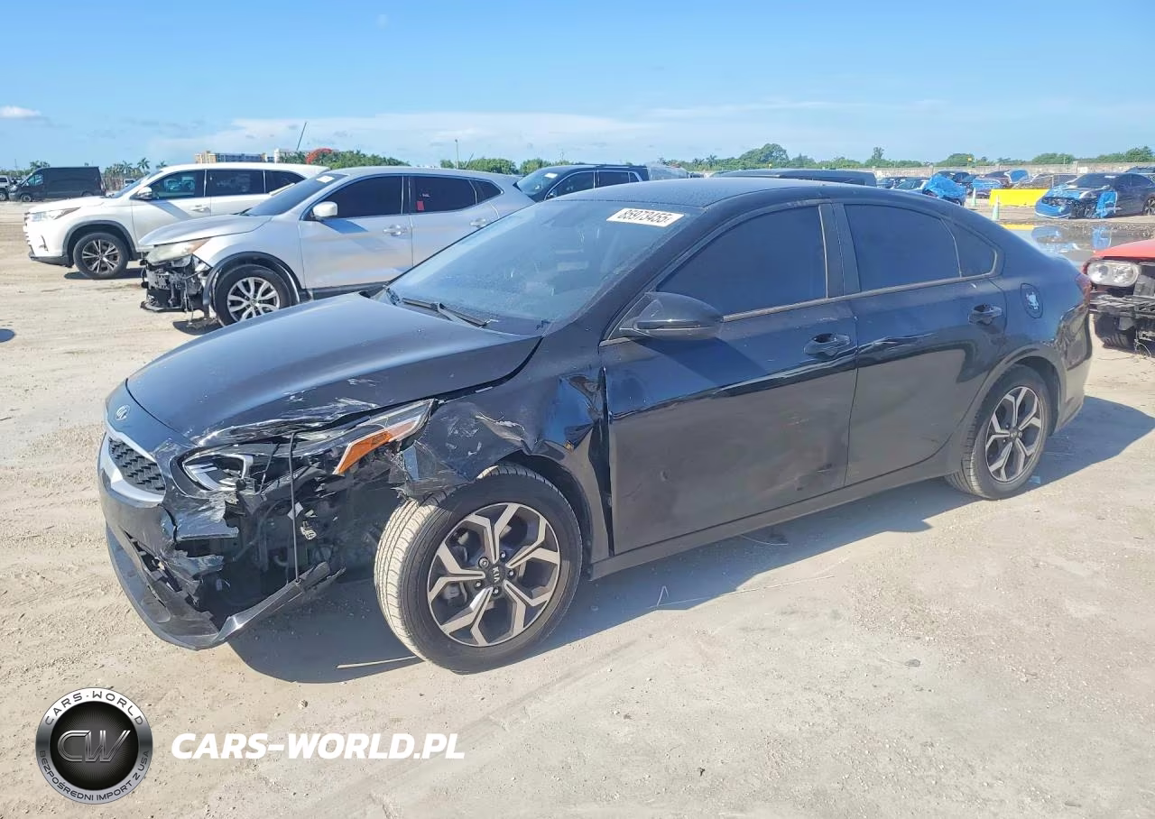 2019 Kia Forte Lxs