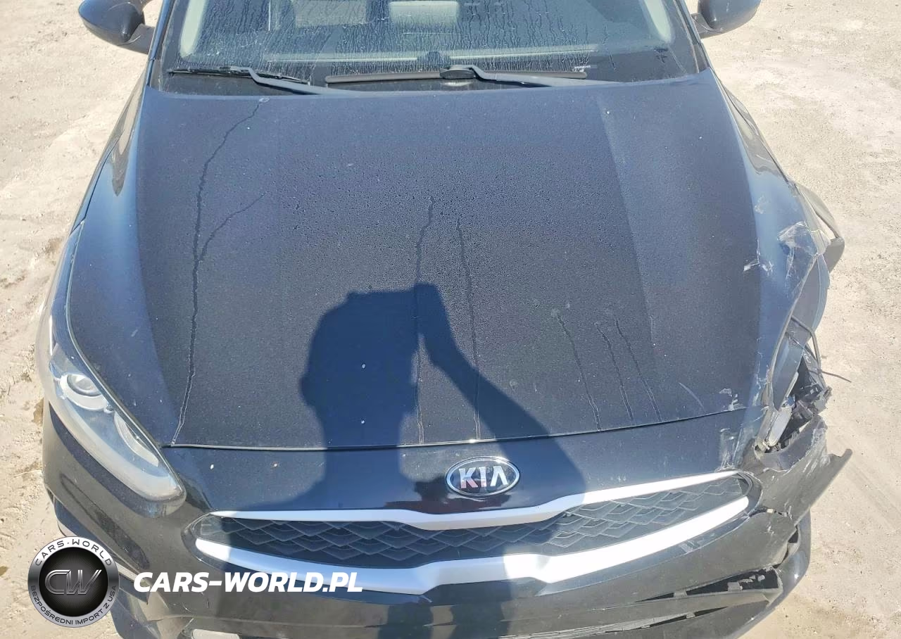 2019 Kia Forte Lxs VIN:3KPF24AD6KE115810 - 11