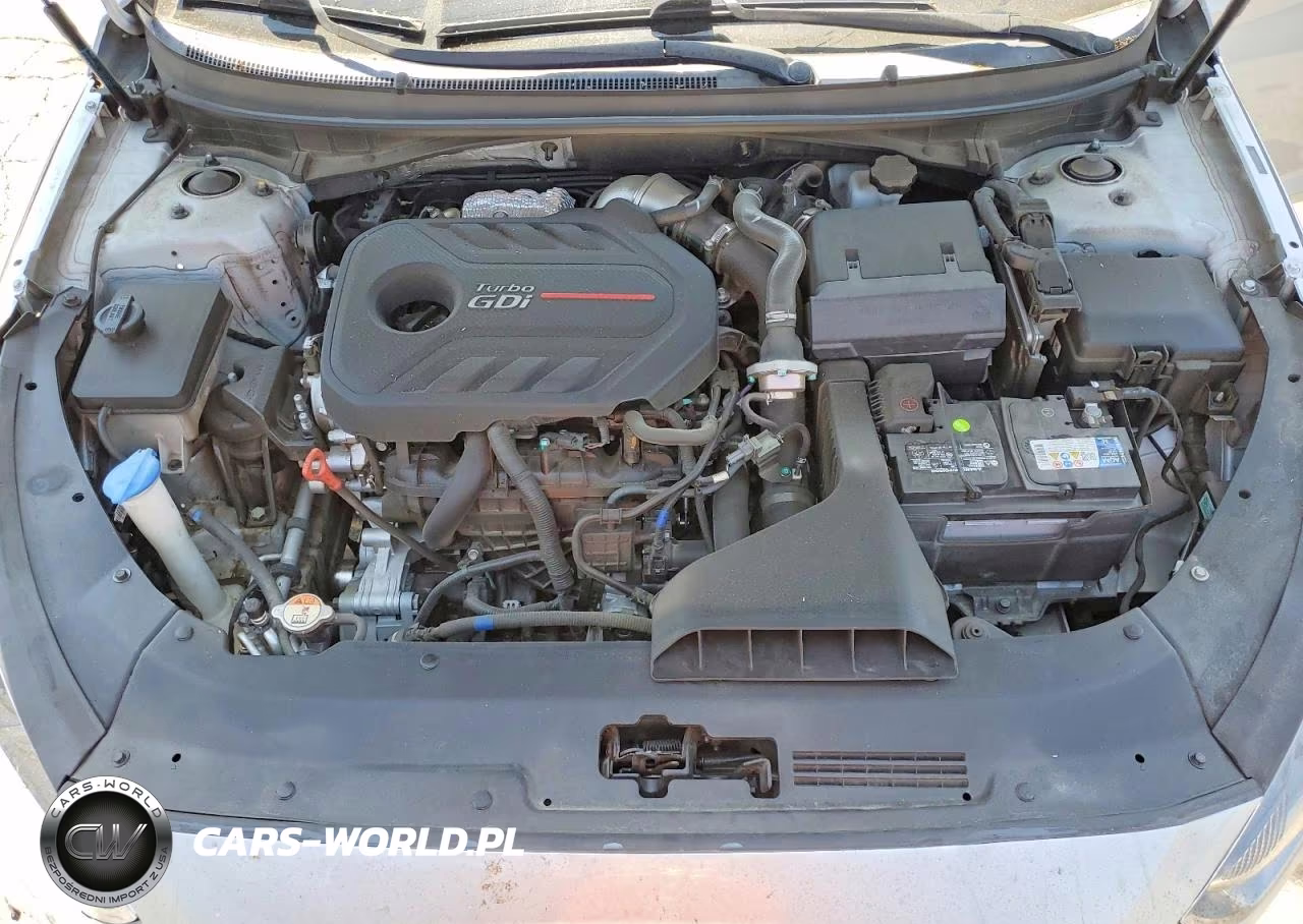 2019 Hyundai Sonata Limited Turbo VIN:5NPE34AB5KH810010 - 11