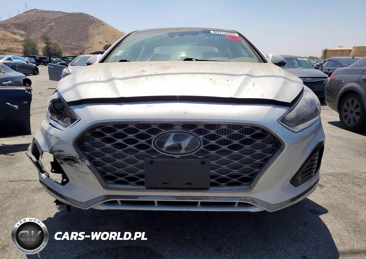 2019 Hyundai Sonata Limited Turbo VIN:5NPE34AB5KH810010 - 5