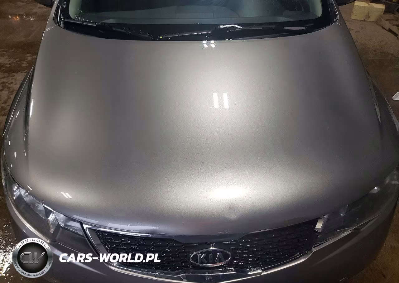 2012 Kia Forte Ex VIN:KNAFU4A20C5632104 - 11