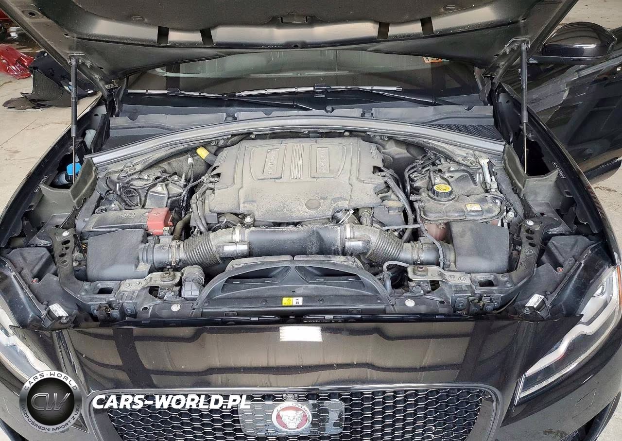 2018 Jaguar F-Pace S VIN:SADCM2FV1JA298087 - 12
