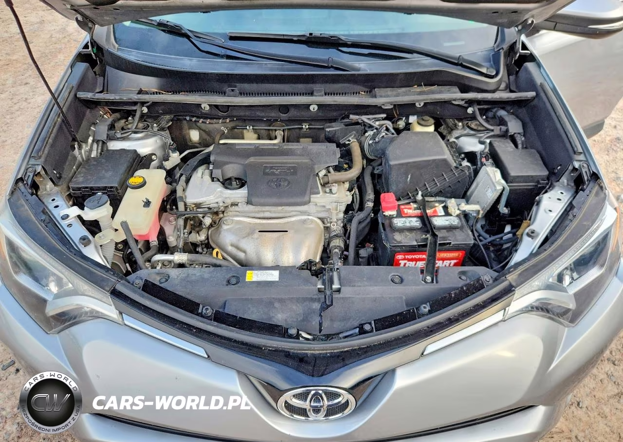 2016 Toyota Rav4 Xle VIN:2T3WFREV1GW264660 - 12