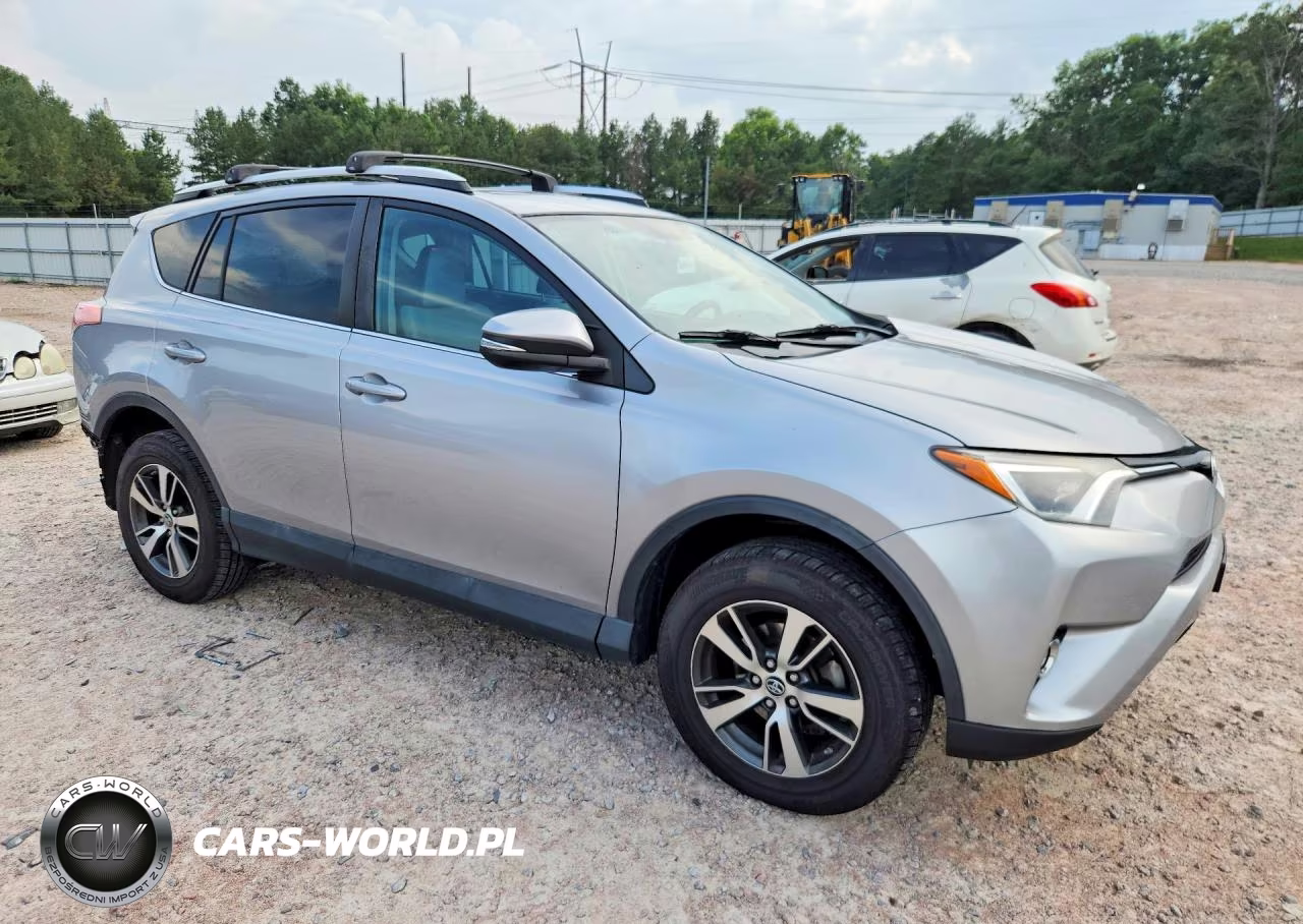 2016 Toyota Rav4 Xle VIN:2T3WFREV1GW264660 - 4