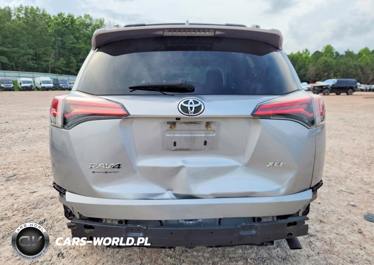 2016 Toyota Rav4 Xle VIN:2T3WFREV1GW264660 - 6