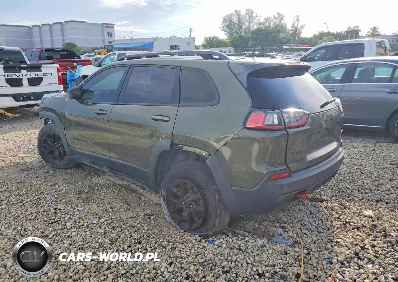 2019 Jeep Cherokee Trailhawk VIN:1C4PJMBX5KD169410 - 2