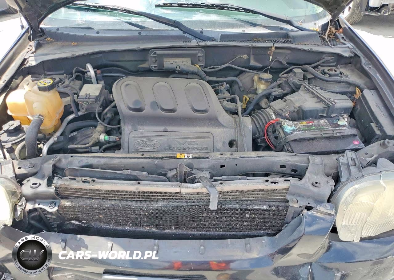 2004 Ford Escape Limited VIN:1FMCU041X4KB10189 - 11