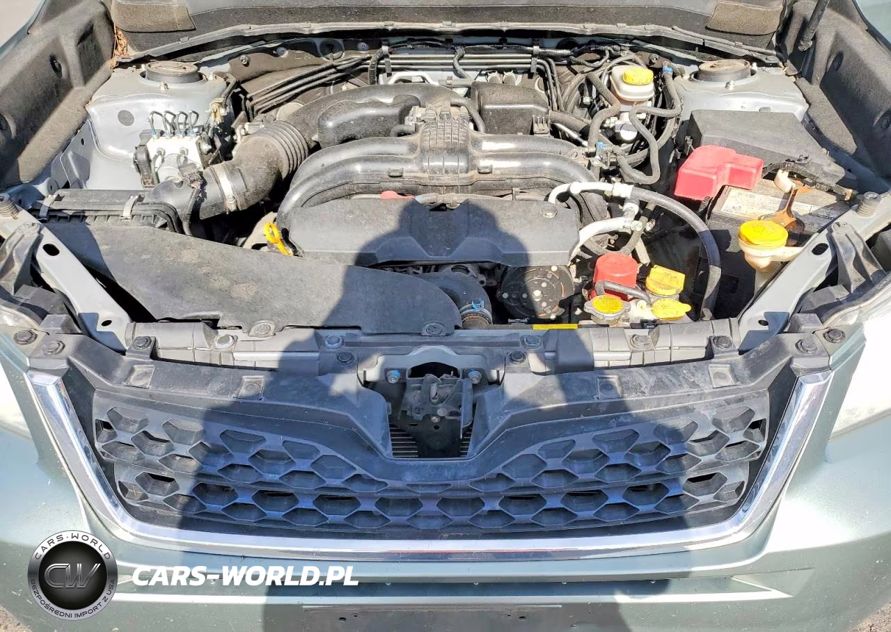 2015 Subaru Forester VIN:JF2SJADC7FH483627 - 11