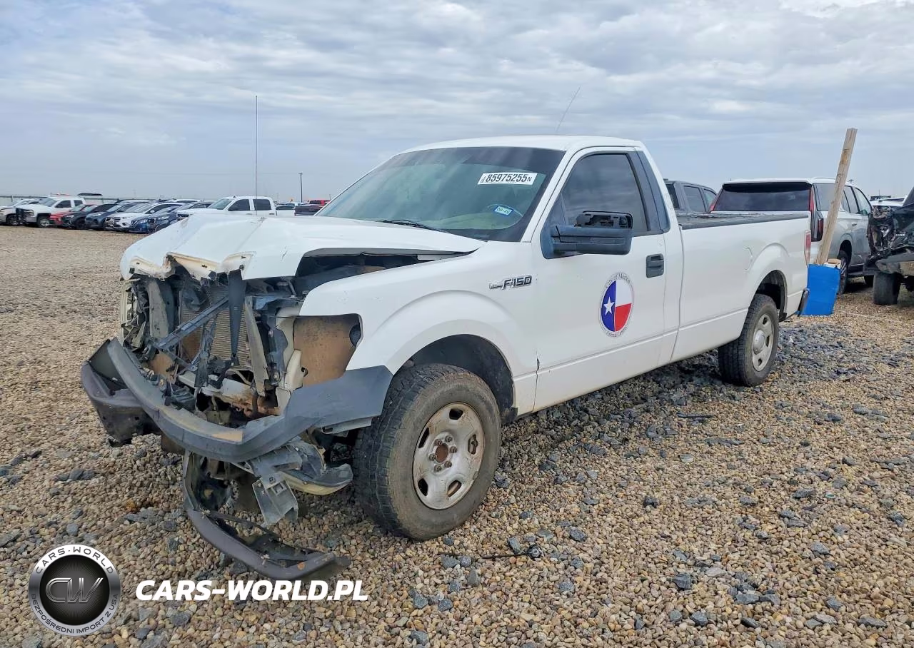 2009 Ford F150