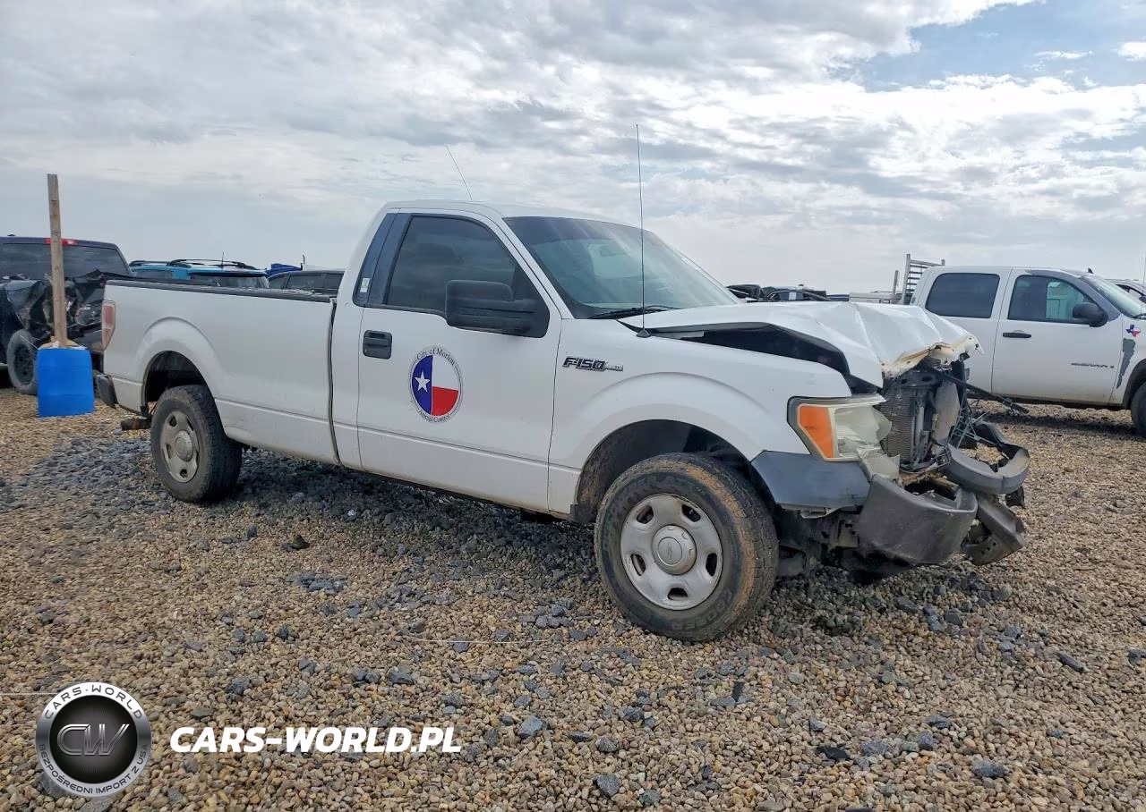 2009 Ford F150 VIN:1FTRF12W89KB23270 - 4