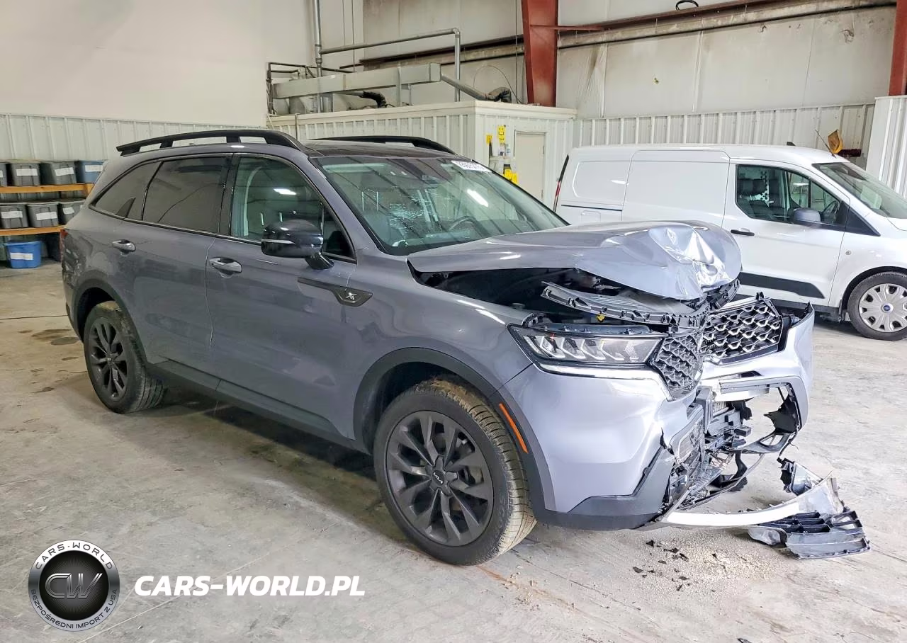 2022 Kia Sorento Ex VIN:5XYRHDLF5NG077228 - 4