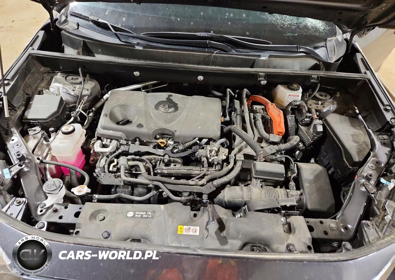 2022 TOYOTA RAV4 XLE P VIN:2T3B6RFV8NW035595 - 12