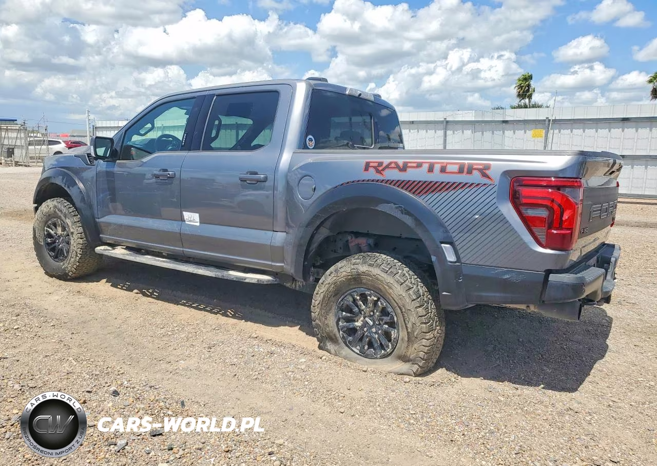 2024 Ford F150 Raptor VIN:1FTFW1RGXRFA20894 - 2