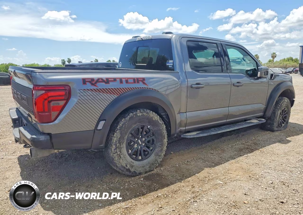 2024 Ford F150 Raptor VIN:1FTFW1RGXRFA20894 - 3