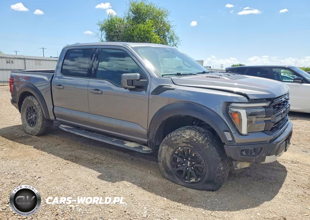 2024 Ford F150 Raptor VIN:1FTFW1RGXRFA20894 - 4