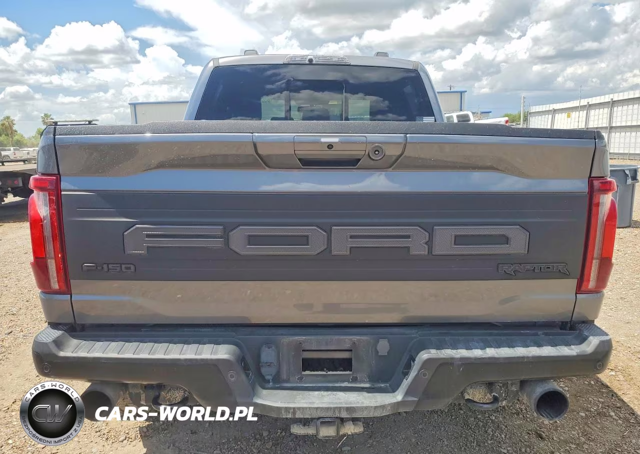 2024 Ford F150 Raptor VIN:1FTFW1RGXRFA20894 - 6